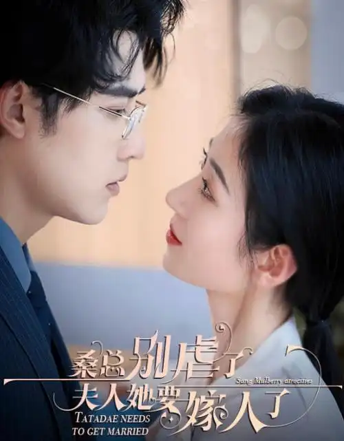 闪婚总裁的隐妻 红果短剧免费观看